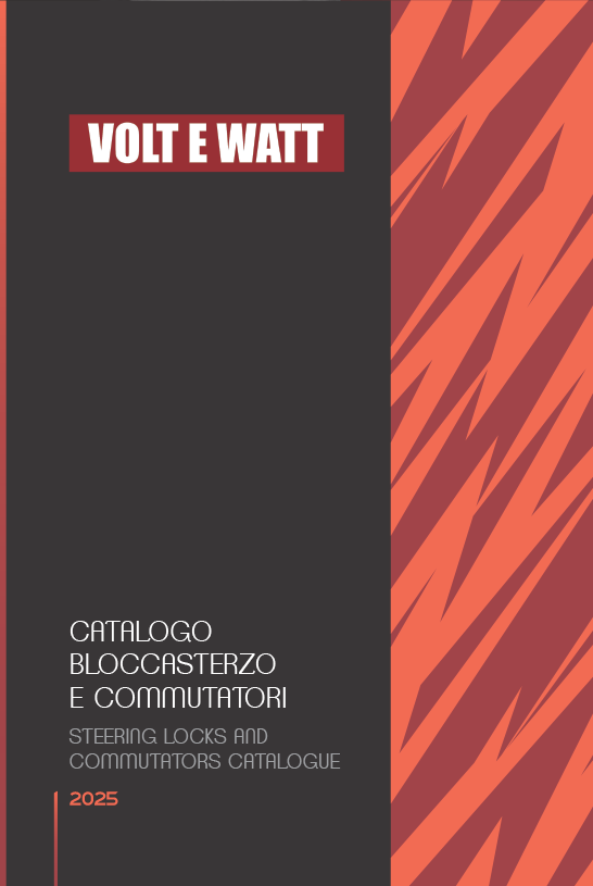 Copertina Bloccasterzo Web